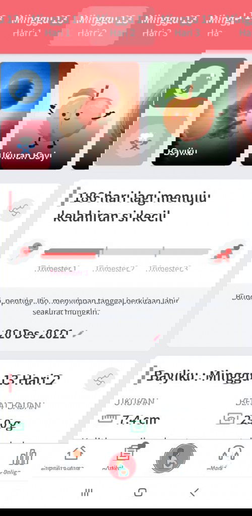 Trimester 2 itu dimulai minggu keberapa?