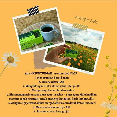 Rekomend Asi Booster