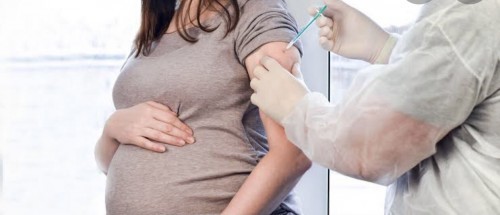COVID-19 Vaccine ๐คฐ๐ผ๐