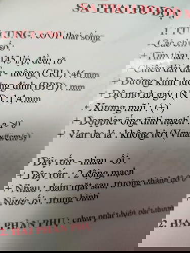 12 tuần tim tai 145 l/p có mom nào biết trai hay gái không ạ 🥰
