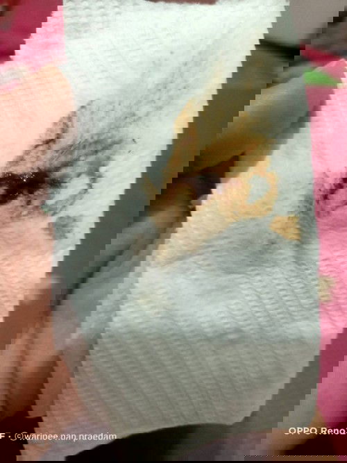 มีมูกแบบนี้ค่ะ