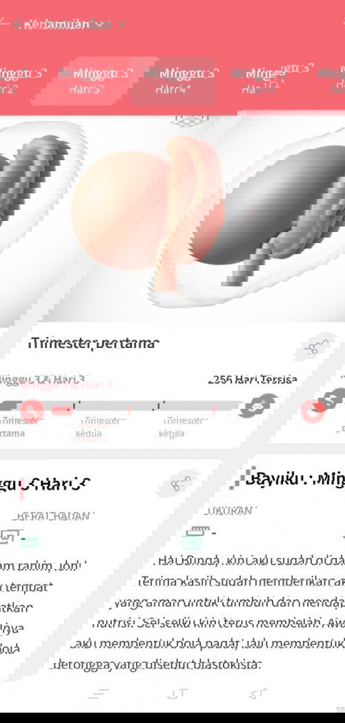 Minggu ke 3 hari ke 3