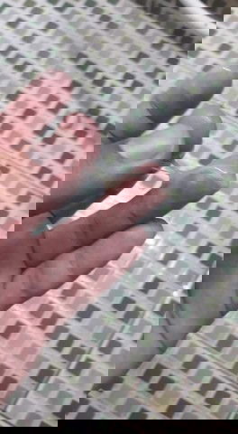 มูกใสหรือตกขาว