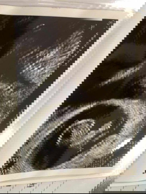 Ceritaku di minggu ke 8