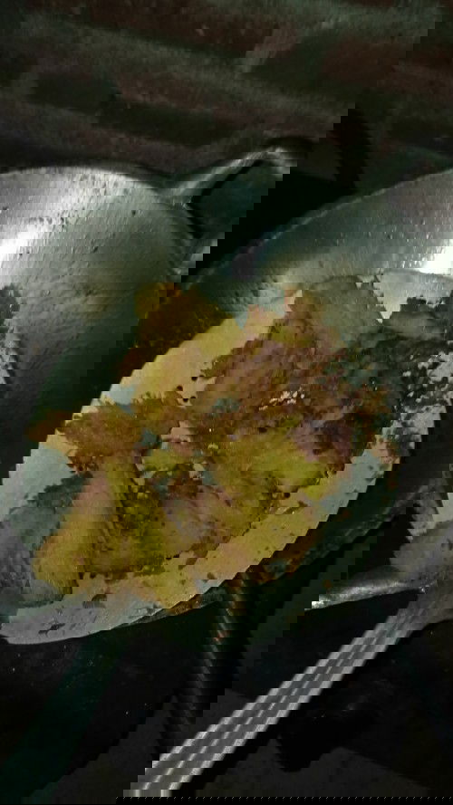 Resep Favorit Pasangan Bunda