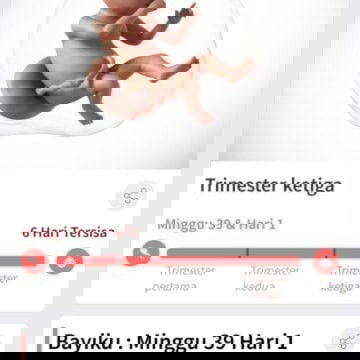 ADA LILITAN DI LEHER JANIN😔