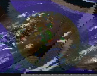 Sauto Ayam Tegal ala ala