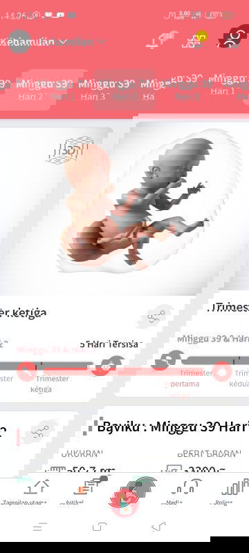 Menunggu gelombang cinta