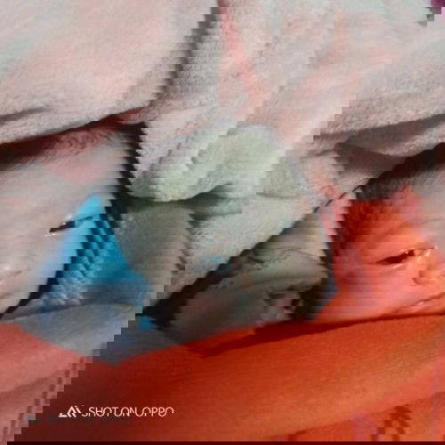 แตกแล้วจ้า