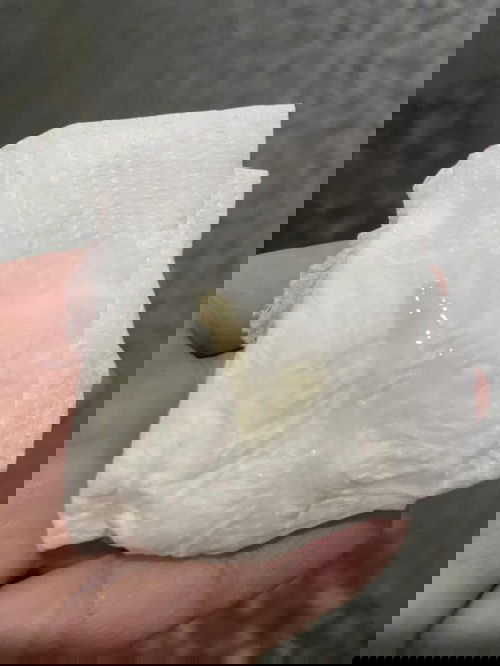 ขอประสบการณ์แม่ๆค่ะ