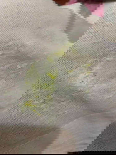 Lungad na may kasamang dilaw dilaw