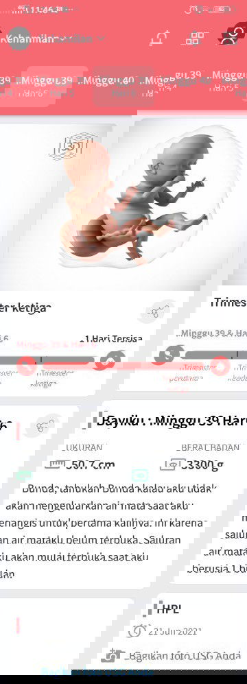 Menunggu gelombang cinta