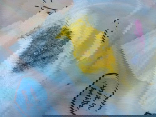 ปกติมั้ยค่ะ