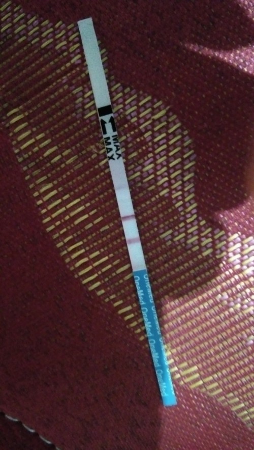 Keguguran dan kehamilan
