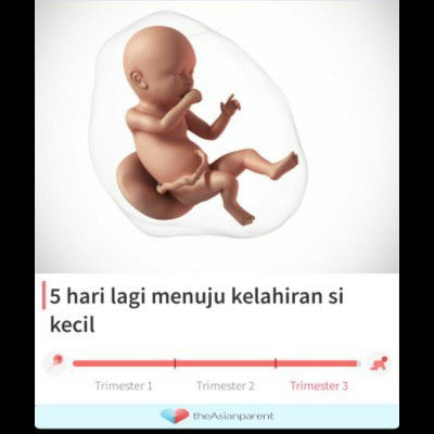 Minta saran/tips jitu