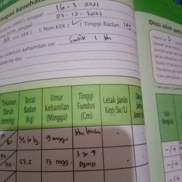 Mau tanya nh saya hamil 13 weeks tapi tinggi fundus nya 3 jri normal nggak sih bun