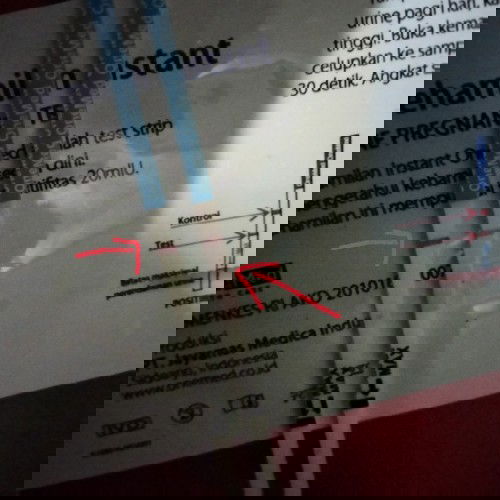 mau tanya bunda"tolong bales ya