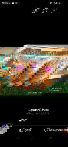 ขอสอบถามคะ