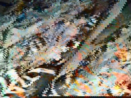 Nagki crave ba kayo sa gabi? 🤣