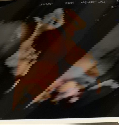 Mohon saran dan info nya😭🙏