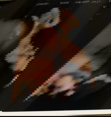 Mohon saran dan info nya😭🙏