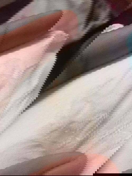 ทีมกรกฎาคมคม