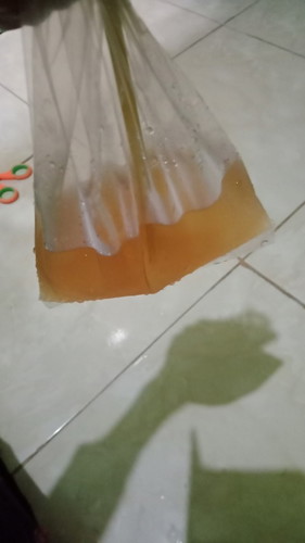Minum es kocok