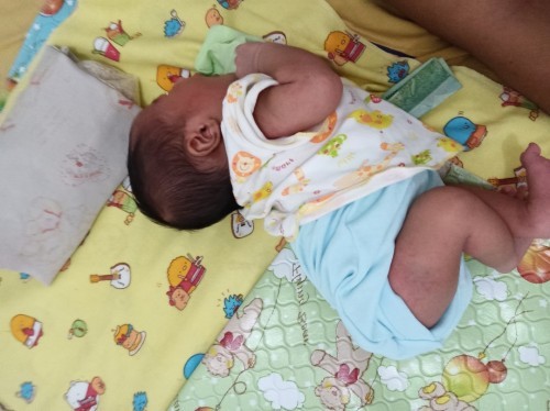 Bayi baru 2 mingguan