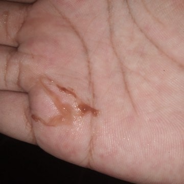 ขอสอบถามหน่อยค่ะ