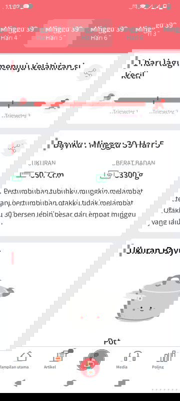 HPL dokter dan Bidan berbeda