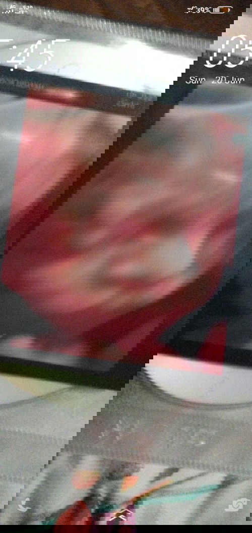 It's counting days! 🥰