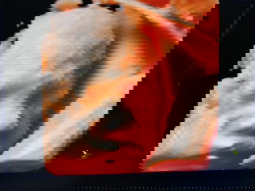 Team September❤️❤️❤️