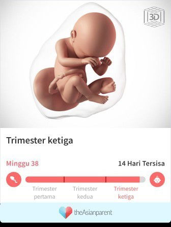 Dah lahir secara caecar(operasi)
Jam 09.lebih pagi,
Hpl 9/7/2021
Bayi perempuan
