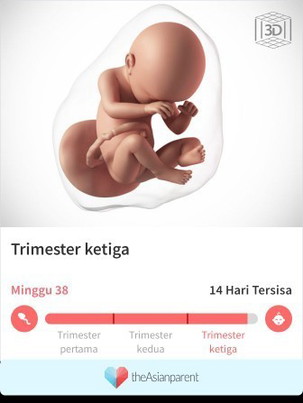 Dah lahir secara caecar(operasi)
Jam 09.lebih pagi,
Hpl 9/7/2021
Bayi perempuan
