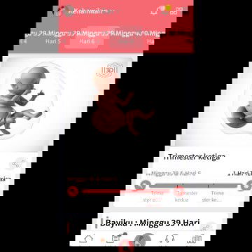 Hpl tgl 27 Juni 2021