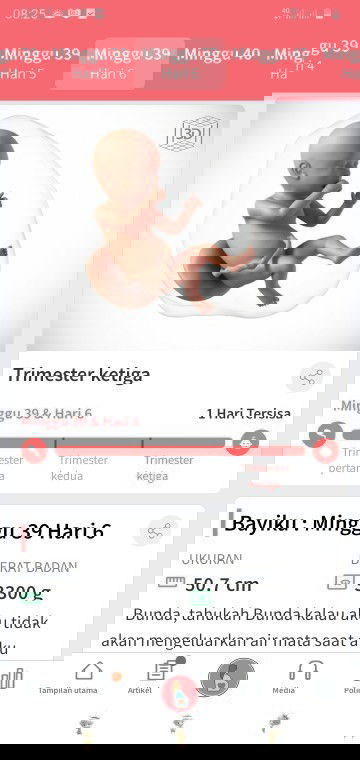 HpL ,mnggu debay launcing 😌