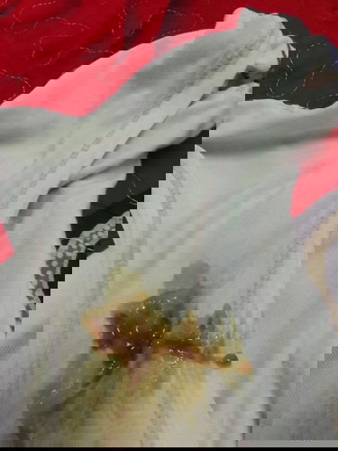 Maaf gmbar kurang selesa