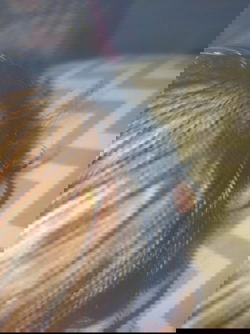 Ano po kaya ang pwedeng gamot dito?