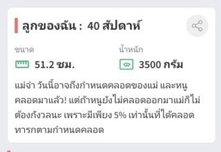 ทีม มิถุนา