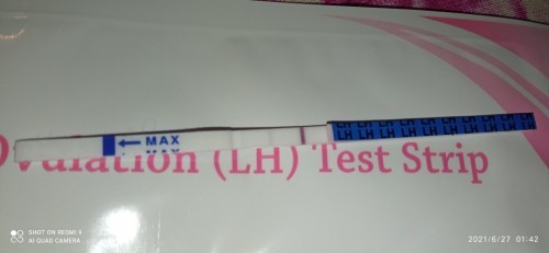 Test opk(ovulationtest strip)
