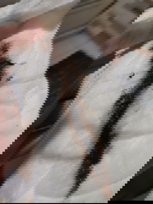 hi.. just seeking. for answer