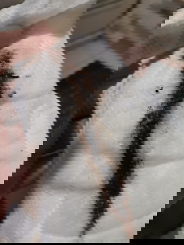 hi.. just seeking. for answer