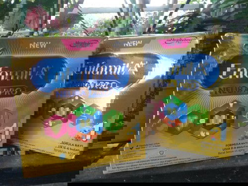 Jual susu enfamil