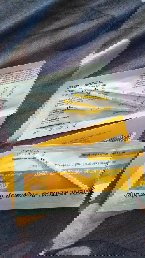 Kehamilan trimester 1