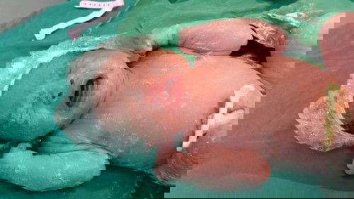 แตกแล้วจ้า