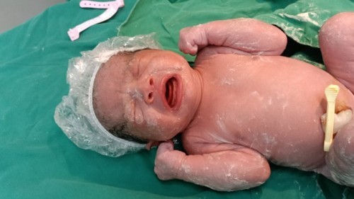 แตกแล้วจ้า