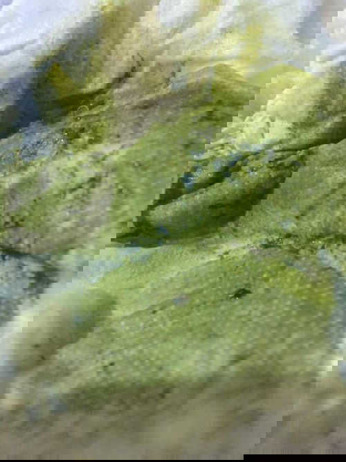 ขออนุญาตน่ะค่ะ