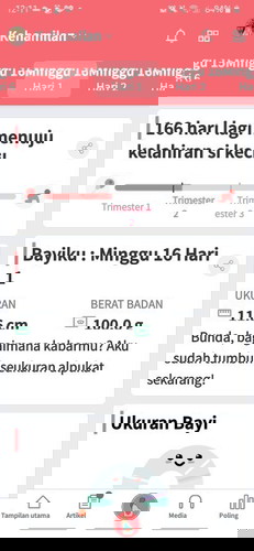 punggung bawah sakit