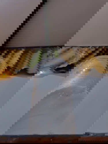 Aku hamil baru beberapa Minggu tapi paling sering minum air es .apa itu tidak akan mempengaruhi bayi