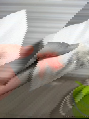 Pendarahan kandungan 6minggu 5 hari.